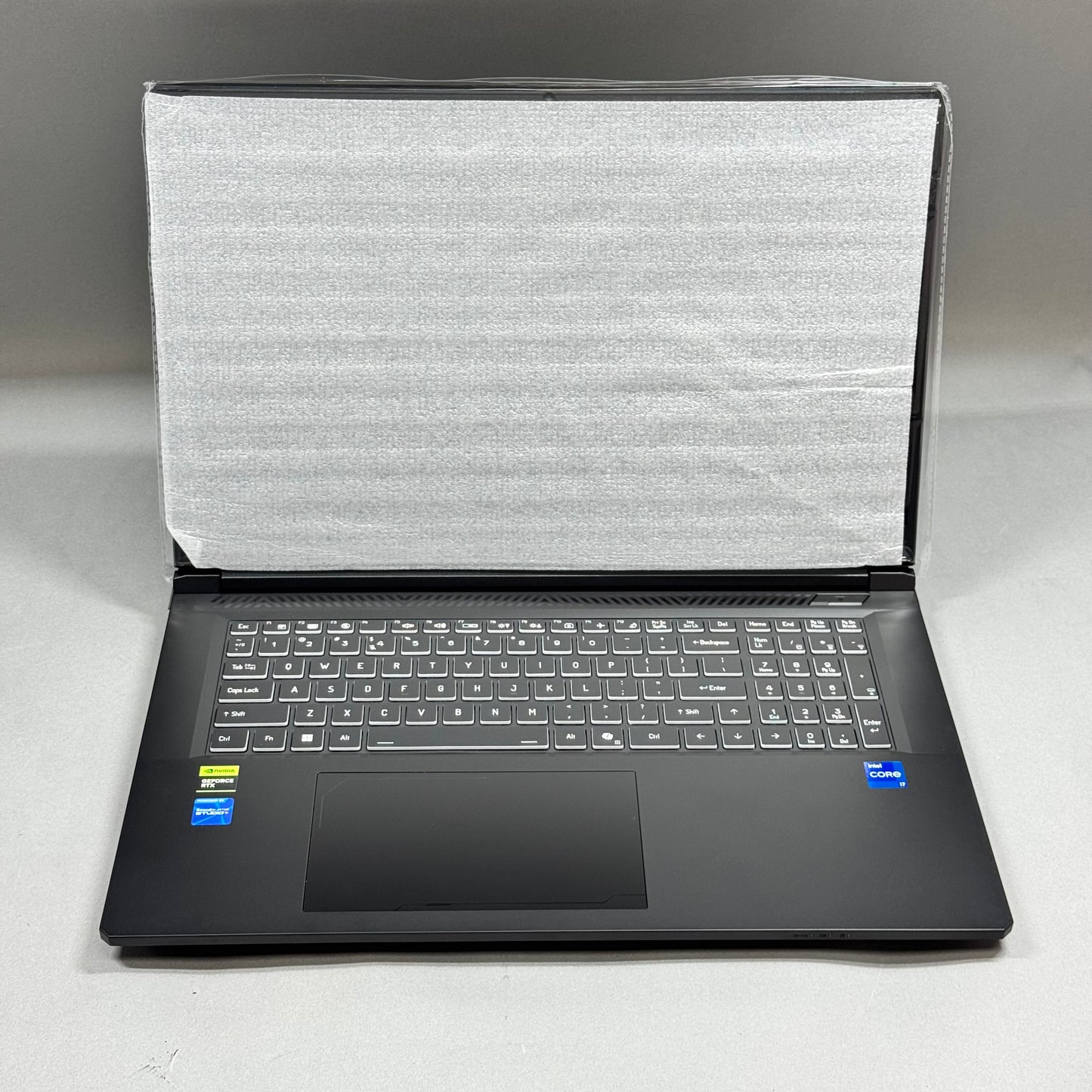 Thunderobot Laptop X17 17.3" Core i7-13620H 2.40GHz 64GB RAM 2TB SSD GeForce RTX 5060