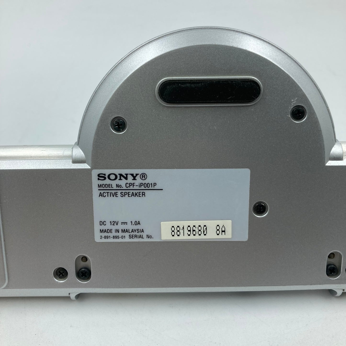 Sony SA-iP001P iPod Amp Sub Combo