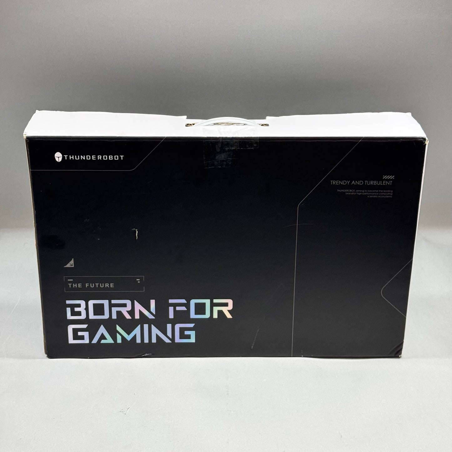 Thunderobot Laptop X17 17.3" Core i7-13620H 2.40GHz 64GB RAM 2TB SSD GeForce RTX 5060