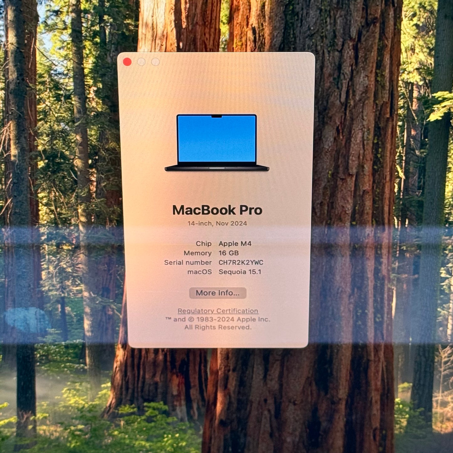 2024 Apple MacBook Pro 14" M4 10C GPU 4.5GHz 16GB RAM 512GB SSD Z1DS000L9LL/A