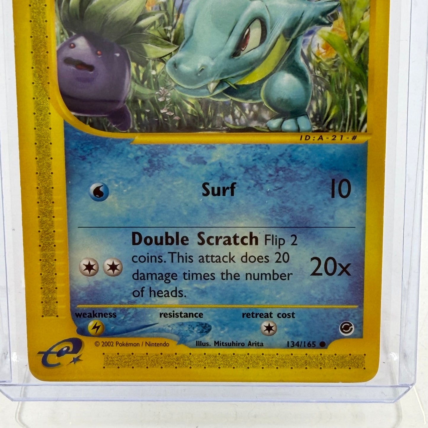 Pokémon TCG Totodile 134/165 ENG