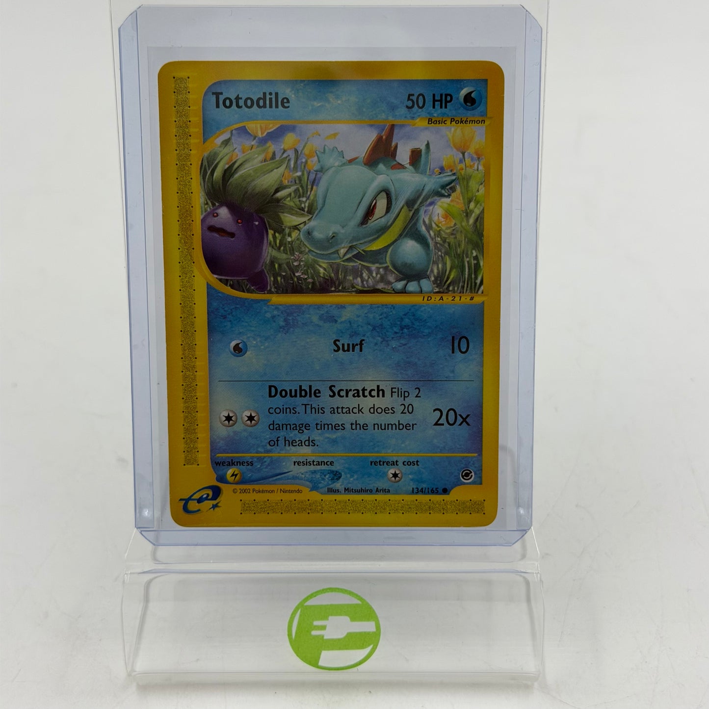 Pokémon TCG Totodile 134/165 ENG