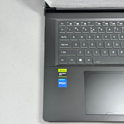 Thunderobot Laptop X17 17.3" Core i7-13620H 2.40GHz 64GB RAM 2TB SSD GeForce RTX 5060