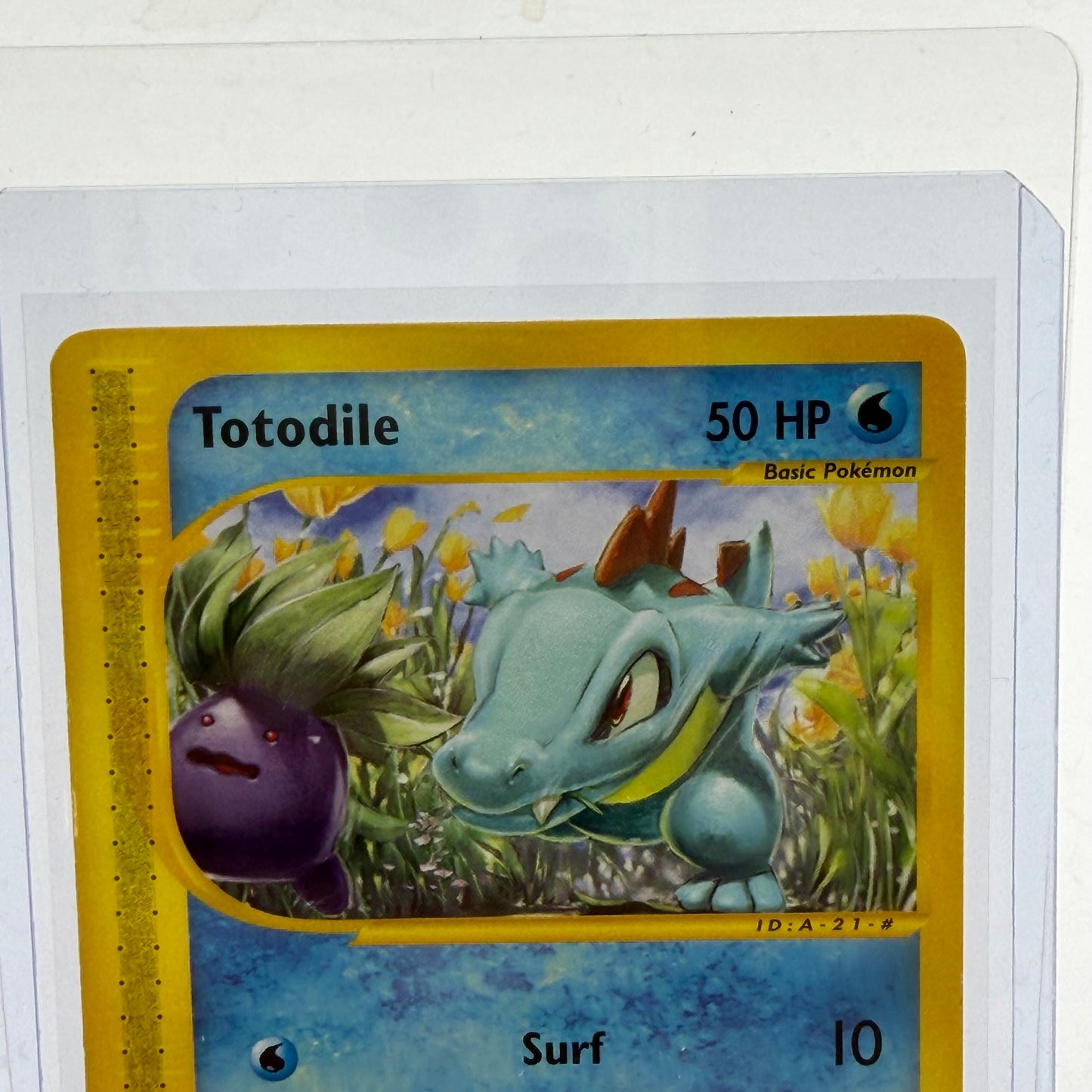 Pokémon TCG Totodile 134/165 ENG